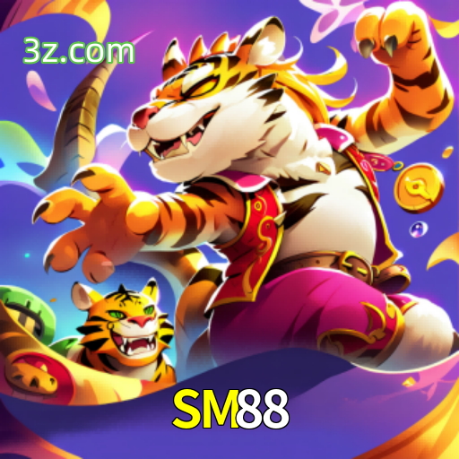  SM88